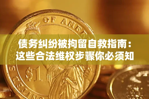 北京债务纠纷被拘留自救指南：这些合法维权步骤你必须知道！