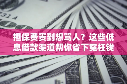 北京担保费贵到想骂人？这些低息借款渠道帮你省下冤枉钱
