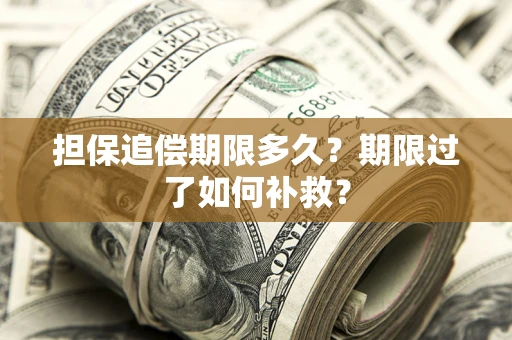 北京担保追偿期限多久？期限过了如何补救？