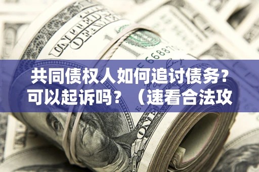 北京共同债权人如何追讨债务？可以起诉吗？（速看合法攻略）